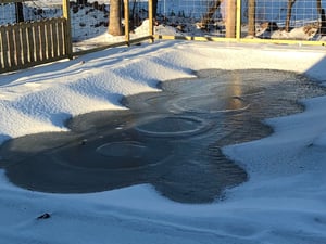 Winter Covers vs Safety Covers for Swimming Pools