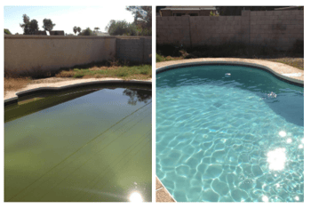 Before after cleaning a green pool