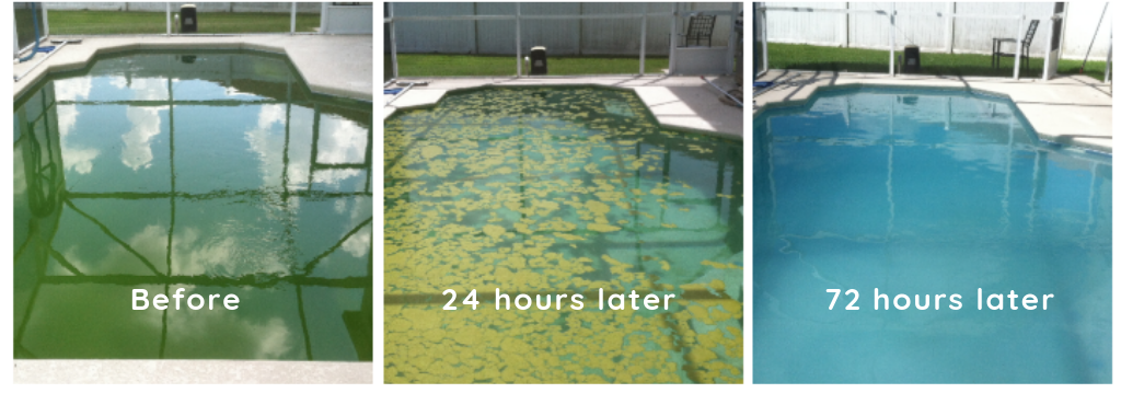Royal Swimming Pools pool Maintenance