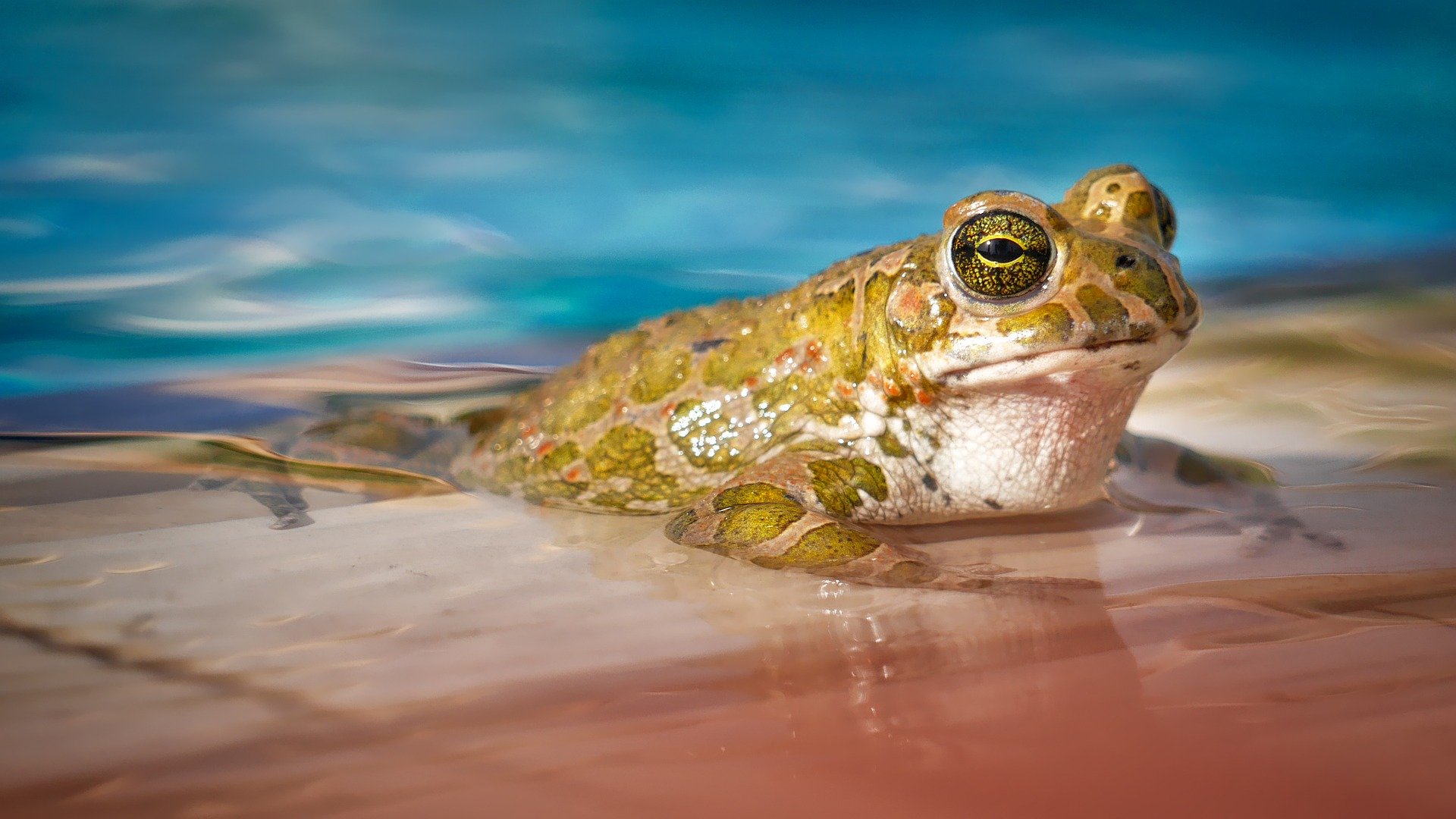 Why water testing is so important for your swimming pool